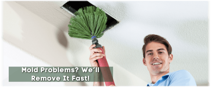Air Duct Mold Removal in Chevy Chase