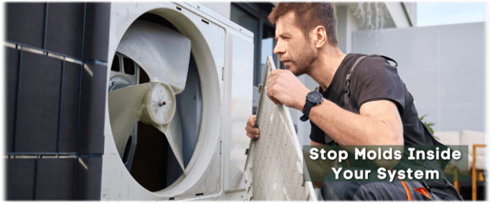 HVAC Mold Removal Chevy Chase